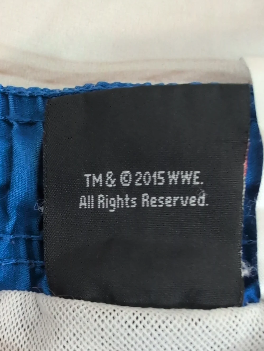 WWE Boys L 10/12 Swim Trunks John Cena Roman Reigns Orton Rey Mysterio Wrestling